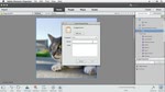 Intuitive Organizer in Photoshop Elements 12