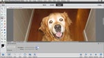 Learn Photoshop Elements 12 - Correct "Pet Eye" on Adobe TV