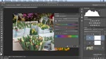 Faire un réglage ciblé dans Photoshop CC