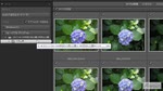 Lightroomの一般的なワークフロー