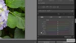 HSL/カラーパネルを利用したカラーの調整