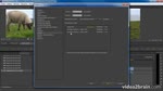 Adobe Premiere Pro CC : Visionner sur un deuxième écran votre projet de montage