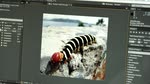 Adobe After Effects CC : effet Conservation des détails-Amélioration