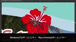ドキュメントの基本操作