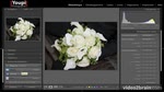 Adobe Lightroom 5 : Connaître Behance, Flickr et plus encore