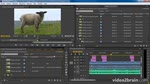 Adobe Premiere Pro CC : Sauver ses colonnes personnalisées