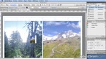 Adobe Muse CC : Placer des images
