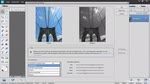 Schwarzweißkonvertierung mit Photoshop Elements 12