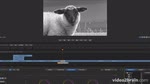 Adobe SpeedGrade CC : Mettre en œuvre une correction colorimétrique