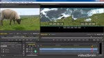 Adobe Premiere Pro CC : Propagation dans le moniteur programme