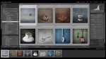 How to Copy Files to an External Hard Drive in Lightroom