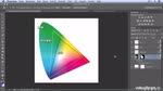 Grundlagen des Farbmanagements in Photoshop