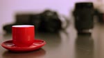 Reportage : Pauline Darley, Photographe