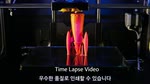 3D 인쇄 기능