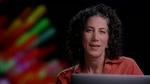 Adobe Muse : nouveautés de novembre 2013