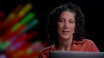 Adobe Muse: Novedades de noviembre de 2013