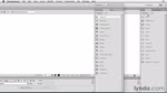 Use the Insert panel