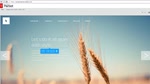 Use Extract to generate web assets