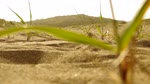 AYVAwards_Narrative_Desert