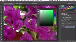 New Color Panel features