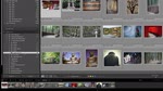 Lightroom mobile on the iPhone