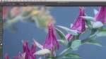 Removing Distracting Elements using the enhanced Content Aware Technology in Photoshop