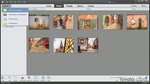 NEW Using the Organizer interface