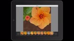 今日から始めるPhotoshop Mix