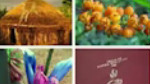 Add a Customizable Slideshow
