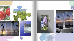 Make Photo Creations that Look Just the Way you Want
