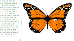 Adobe Dreamweaver CS5.5 : Mise à jour de webkit Adobe Dreamweaver CS5.5 : Mise à jour de webkit