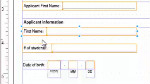 Developing Accessible PDF Content for LiveCycle with Designer Developing Accessible PDF Content for LiveCycle with Designer