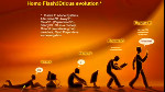 The Flash Platform and Alternativa3D: Amazing New Possibilities