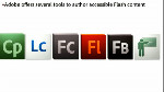 Creating Accessible Content on the Flash Platform Creating Accessible Content on the Flash Platform