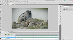 Cinemagraphs