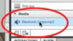 Add Audio to your Project