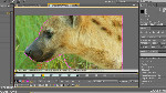 Advanced Roto Brush in After Effects