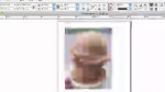 Die Arbeit mit Grafiken 