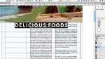 Créer une newsletter