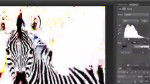 Tmb_13215_150x84_e7eaaffa-1c23-d1f3-ef6f7dd9dc19d4d2