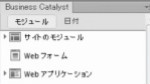 Adobe Business Catalystとの統合