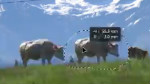 コンテンツに応じた移動とパッチ