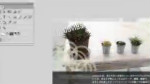 Flashのインターフェイス