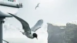Adobe Photoshop CS5 : Créer une pointe de forme personnalisée