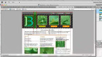 Designing a web portfolio