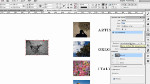 Publishing print and interactive PDF portfolios