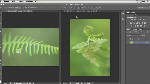 Quick Tip – Cropping Two Images to the Same Size in Photoshop CS6