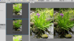 HDR Proに統合