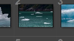 Posting a Web Photo Gallery to Your Website