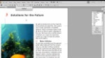 FrameMaker 11 focused workspaces FrameMaker 11 focused workspaces